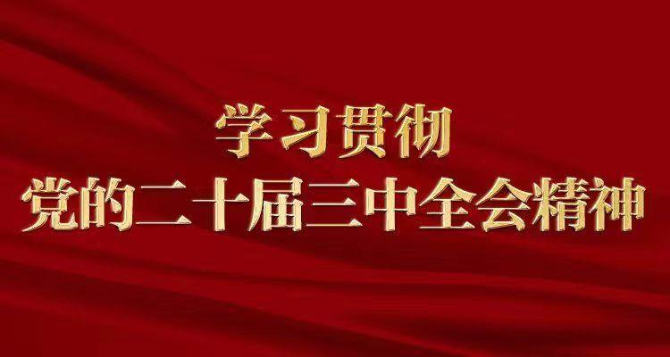 学习贯彻党的二十届三中全会精神